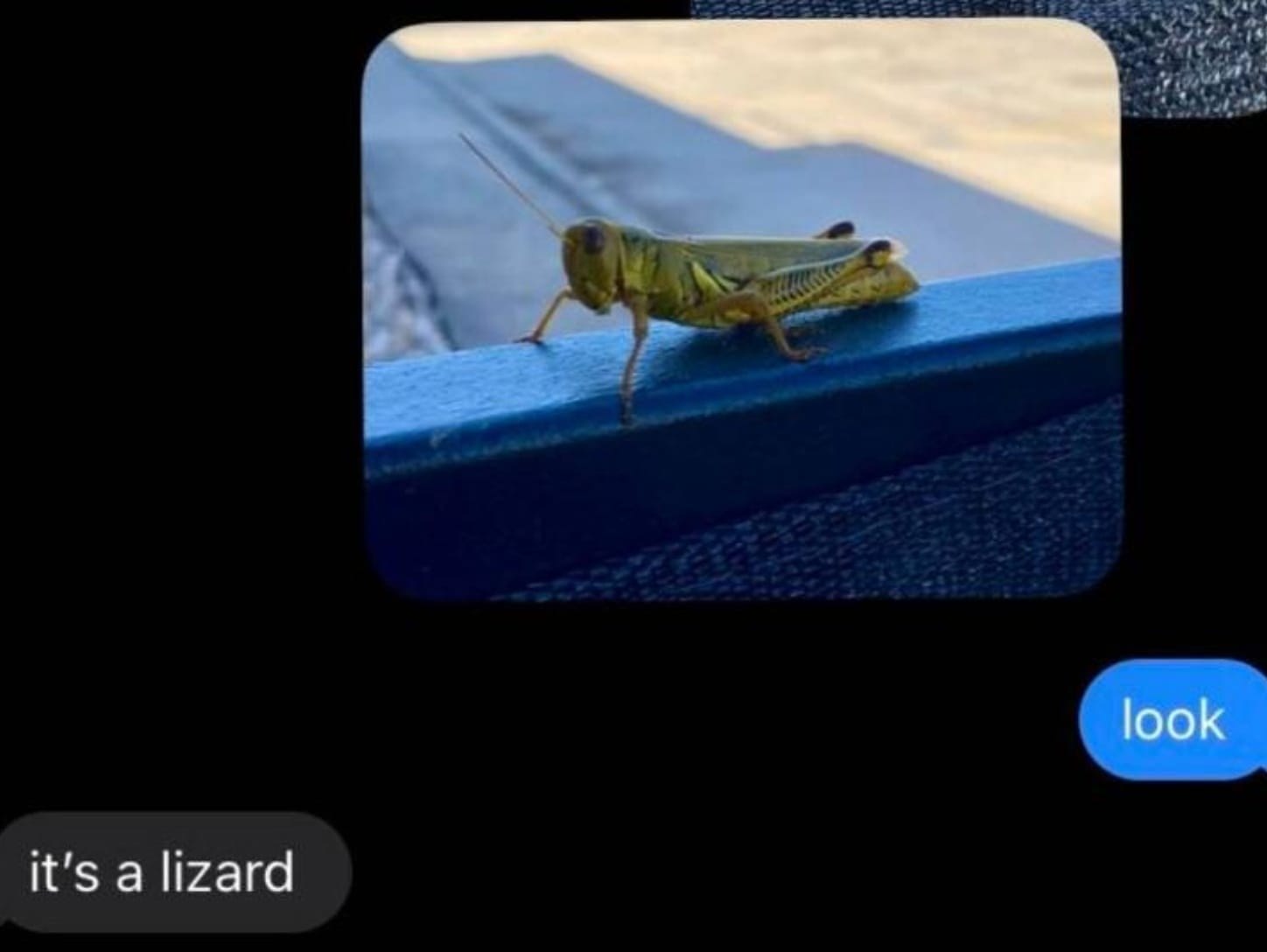 The Difference Between Men And Women Is Clear In These Funny Conversations||||||||||||||||||||||||||||||||||