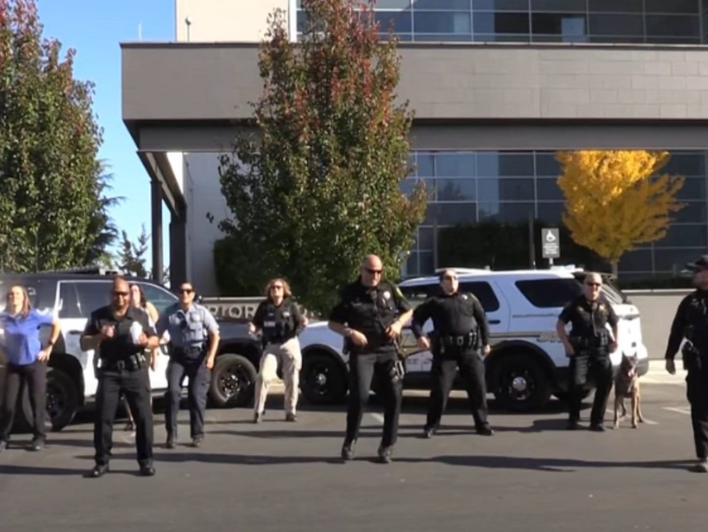 The Police Line Up To Do A Dance Routine, But It’s The Police Dog That Steals The Show|